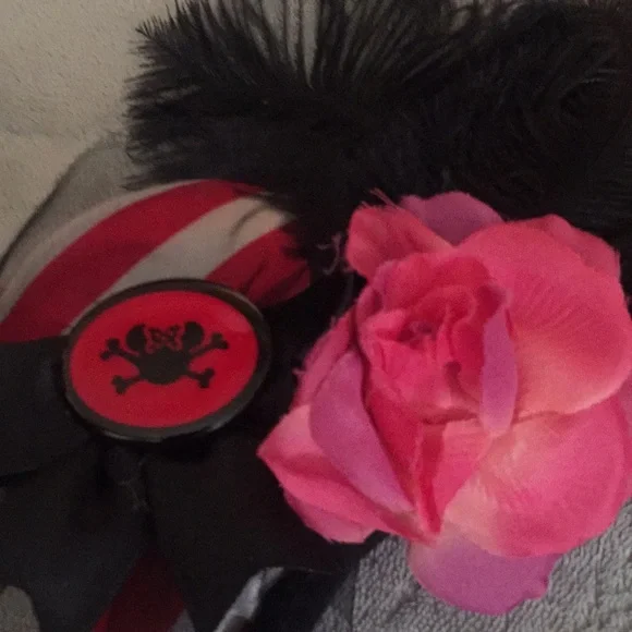 Pirates of the Caribbean ears - Picture 2 of 3